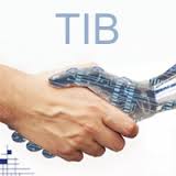 tib vici vision